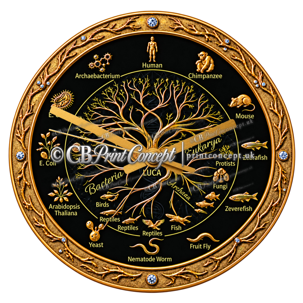 Round black and gold Evolutionary Tree wall clock featuring a stylised phylogenetic tree, LUCA, DNA-inspired branches and species from across the tree of life.