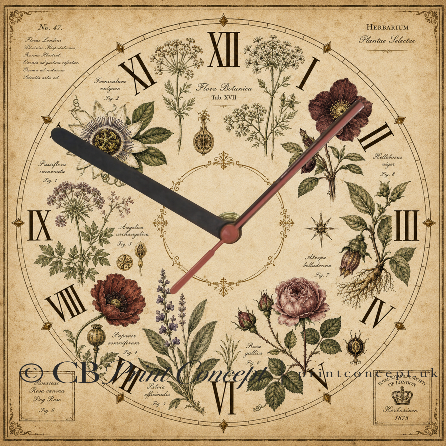 Victorian Botanical Herbarium Wall Clock