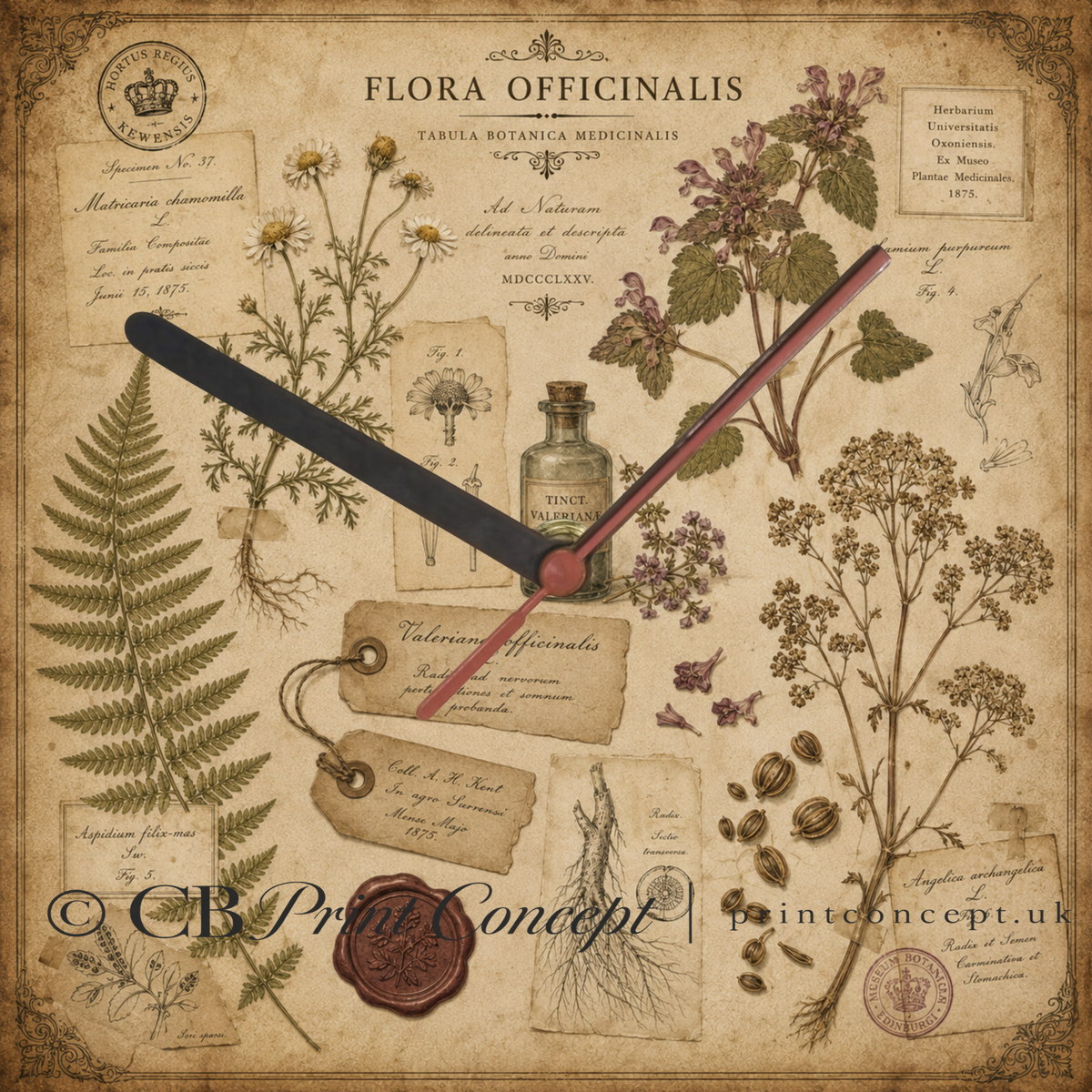 Vintage Botanical Herbarium Wall Clock