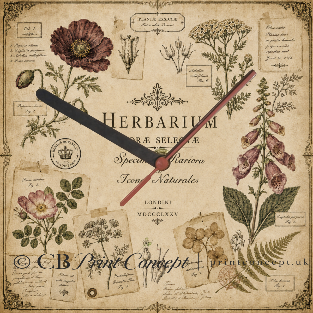 Classic Herbarium Wall Clock Design 2