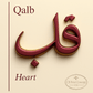 Qalb | High - Quality | Buy Now at CB Print Concept