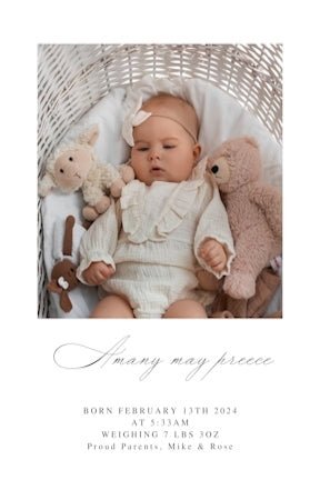 Births Nr 1 - Print Concept